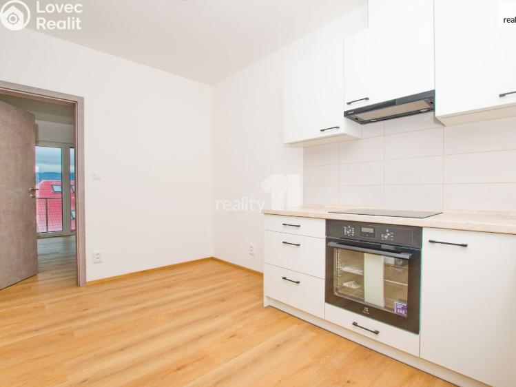 Pronájem bytu 1+KK Liberec, Londýnská č. 29