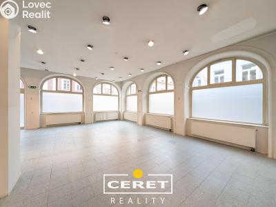 Pronájem obchodního prostoru Žatec, Oblouková č. 6