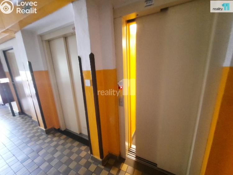 Pronájem bytu 1+KK Nový Bor, Svojsíkova č. 25