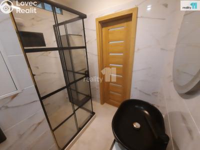 Pronájem bytu 1+KK Nový Bor, Svojsíkova č. 5