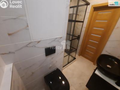 Pronájem bytu 1+KK Nový Bor, Svojsíkova č. 6