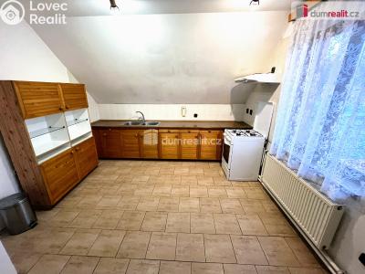 Pronájem rodinného domu Uherské Hradiště, Jižní č. 4