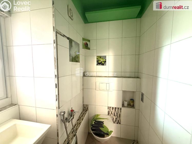 Pronájem bytu 1+1 Bílina, Fügnerova č. 4