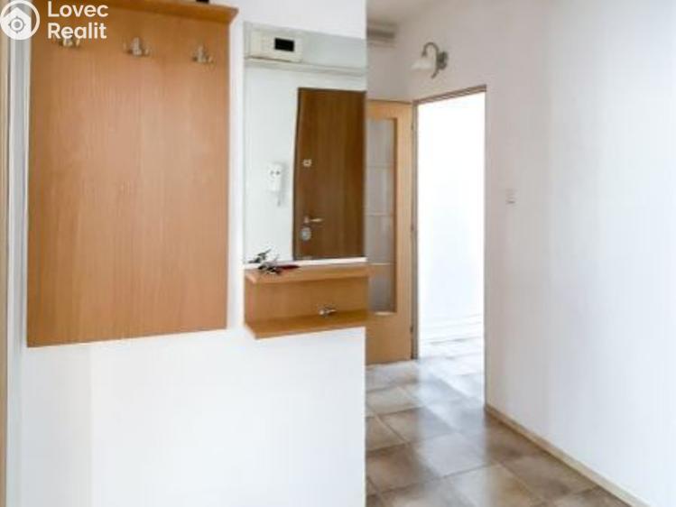 Pronájem bytu 2+1 Uherské Hradiště, Louky č. 3