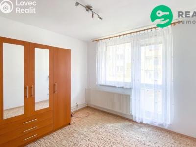 Pronájem bytu 2+1 Uherské Hradiště, Louky č. 5