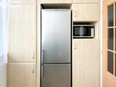 Pronájem bytu 2+1 Uherské Hradiště, Louky č. 6