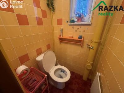 Prodej rodinného domu Tachov, Americká č. 6