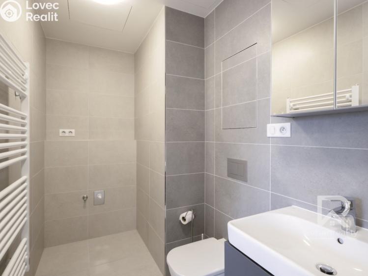 Pronájem bytu 2+KK Praha, Univerzitní č. 10