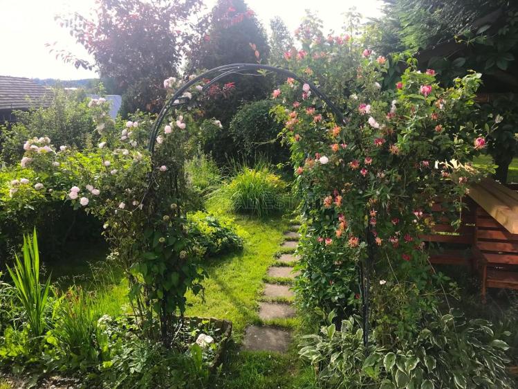 Sale family house Dětřichov nad Bystřicí č. 19