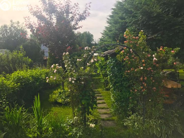 Sale family house Dětřichov nad Bystřicí č. 22