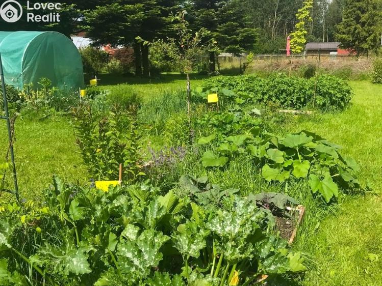 Sale family house Dětřichov nad Bystřicí č. 24