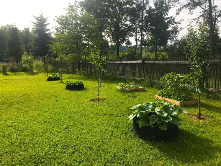 Sale family house Dětřichov nad Bystřicí č. 25