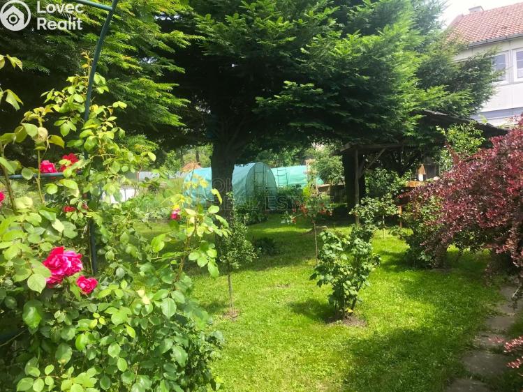 Sale family house Dětřichov nad Bystřicí č. 26