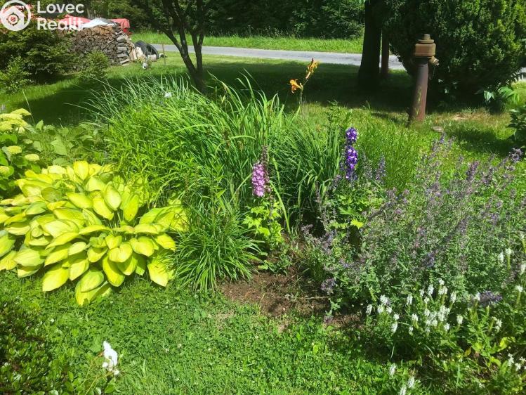 Sale family house Dětřichov nad Bystřicí č. 28