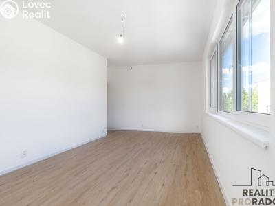 Sale apartment 4+KK Ostopovice, B. Němcové č. 29