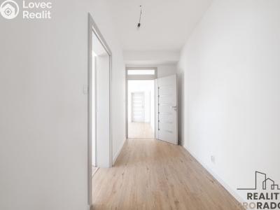 Sale apartment 4+KK Ostopovice, B. Němcové č. 10