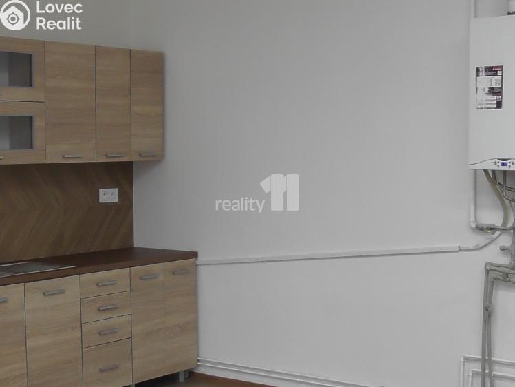 Rent commercial space Ostrava, Přemyslovců č. 15