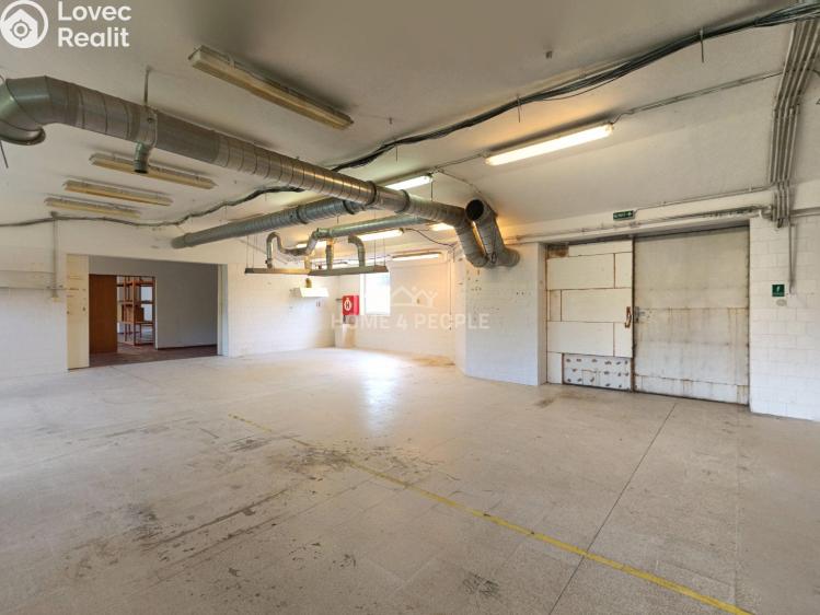 Оренда виробничого цеху Židlochovice, Žerotínovo nábřeží č. 5