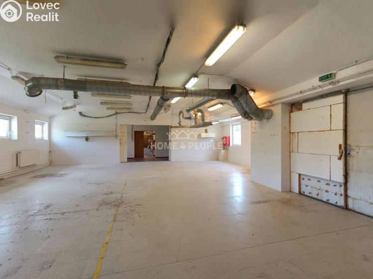 Оренда виробничого цеху Židlochovice, Žerotínovo nábřeží č. 6