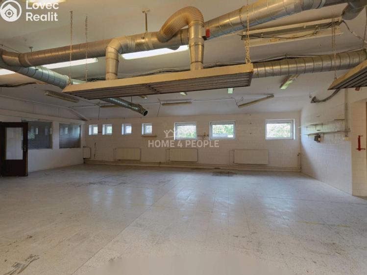 Оренда виробничого цеху Židlochovice, Žerotínovo nábřeží č. 8