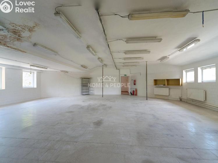 Оренда виробничого цеху Židlochovice, Žerotínovo nábřeží č. 10