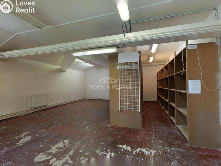 Оренда виробничого цеху Židlochovice, Žerotínovo nábřeží č. 16