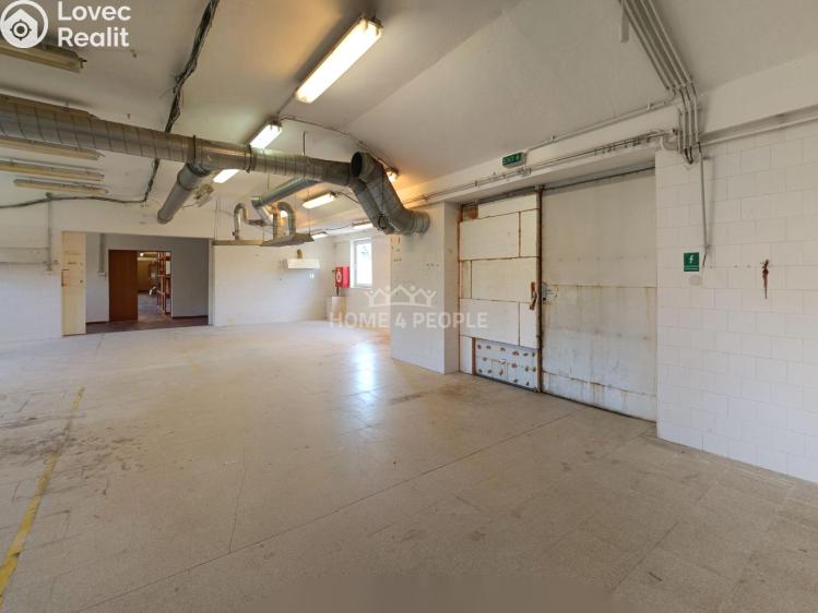 Оренда виробничого цеху Židlochovice, Žerotínovo nábřeží č. 18