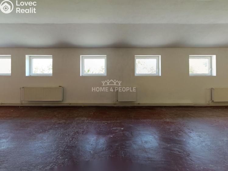 Оренда виробничого цеху Židlochovice, Žerotínovo nábřeží č. 19