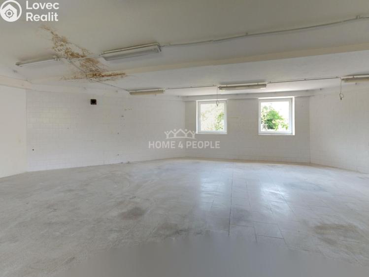 Оренда виробничого цеху Židlochovice, Žerotínovo nábřeží č. 20