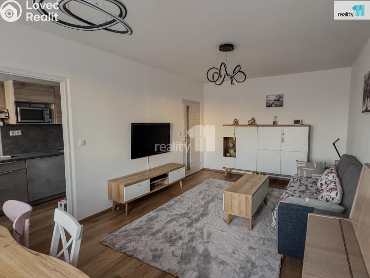 Продажа квартиры 3+1 Dobřany, 17. listopadu č. 1