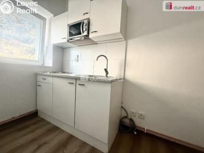 Pronájem bytu 1+1 Ústí nad Labem, Zahradní č. 1