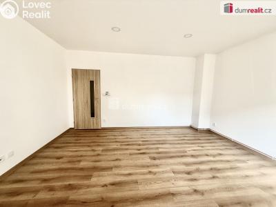 Pronájem bytu 1+1 Ústí nad Labem, Zahradní č. 4