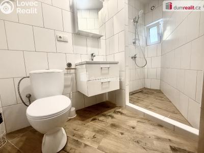 Pronájem bytu 1+1 Ústí nad Labem, Zahradní č. 6