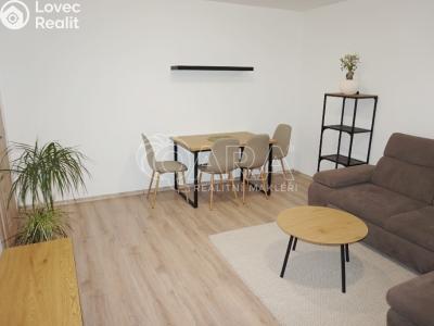 Продажа квартиры 3+1 Ústí nad Orlicí, Třebovská 441 č. 3