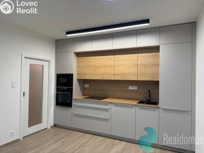 Pronájem bytu 2+KK České Budějovice, Na Zlaté stoce č. 1