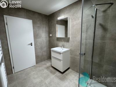 Pronájem bytu 2+KK České Budějovice, Na Zlaté stoce č. 4