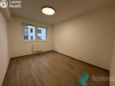 Pronájem bytu 2+KK České Budějovice, Na Zlaté stoce č. 5