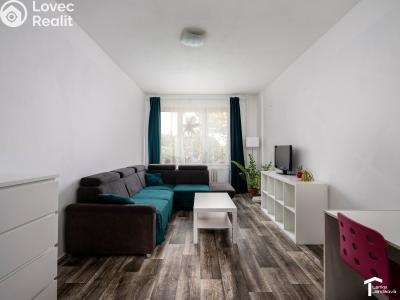 Pronájem bytu 2+1 Pardubice, S. K. Neumanna 2529 č. 2