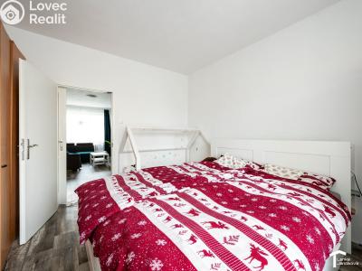 Pronájem bytu 2+1 Pardubice, S. K. Neumanna 2529 č. 4