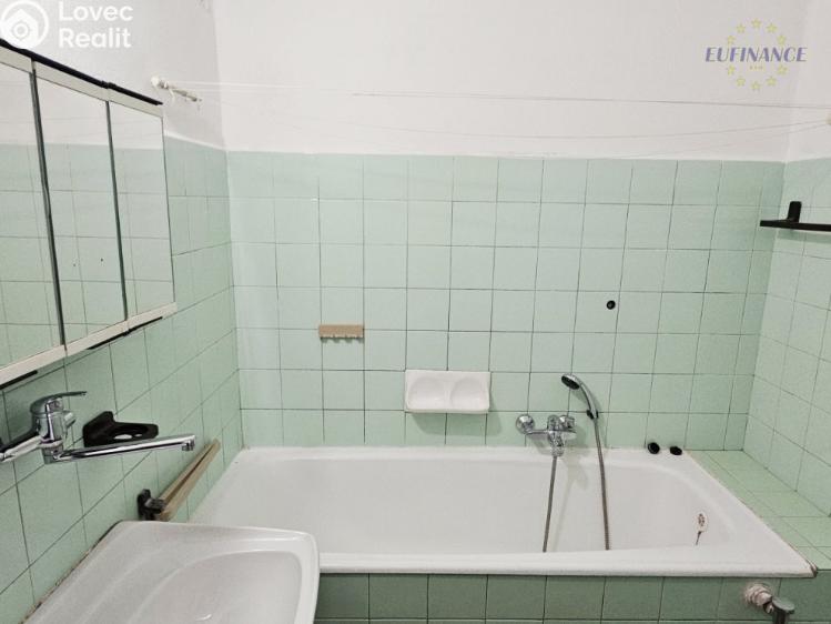 Sale apartment 1+1 Mladá Boleslav, Jana Palacha 1017 č. 7