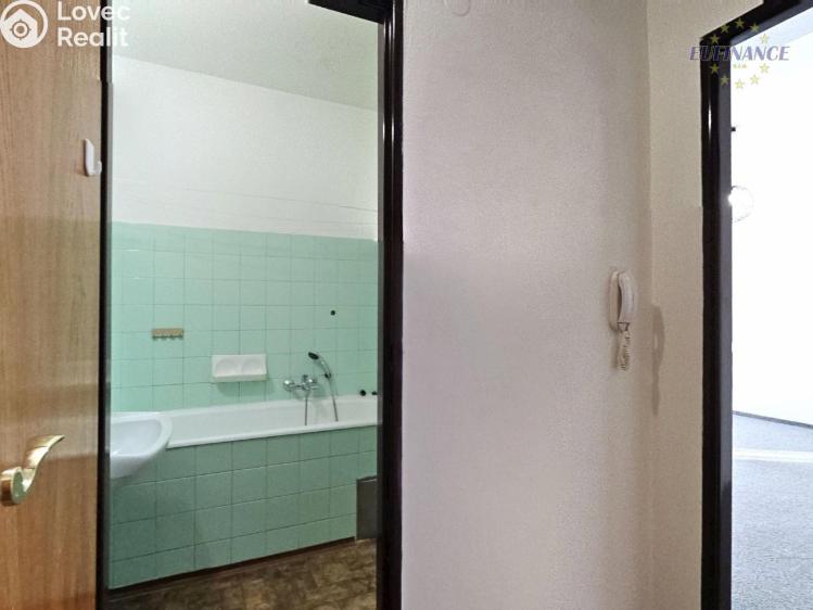 Sale apartment 1+1 Mladá Boleslav, Jana Palacha 1017 č. 8