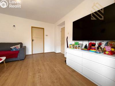 Pronájem bytu 2+1 Bílina, Lidická č. 2