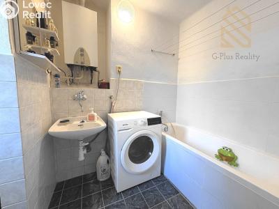 Pronájem bytu 2+1 Bílina, Lidická č. 4