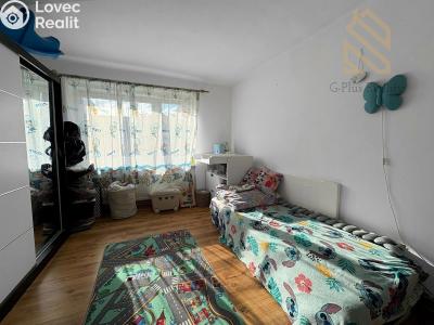 Pronájem bytu 2+1 Bílina, Lidická č. 5