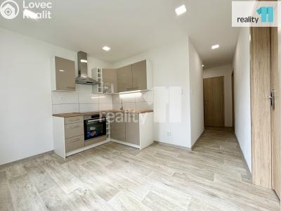Rent apartment 2+1 Nový Bor, Sluneční č. 1