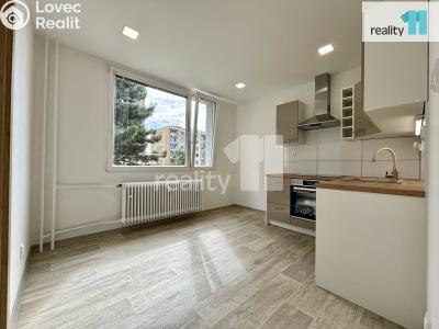 Rent apartment 2+1 Nový Bor, Sluneční č. 2