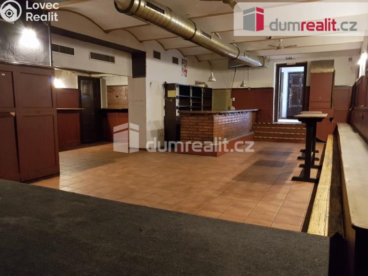 Pronájem komerční nemovitosti České Budějovice, U Tří lvů č. 7