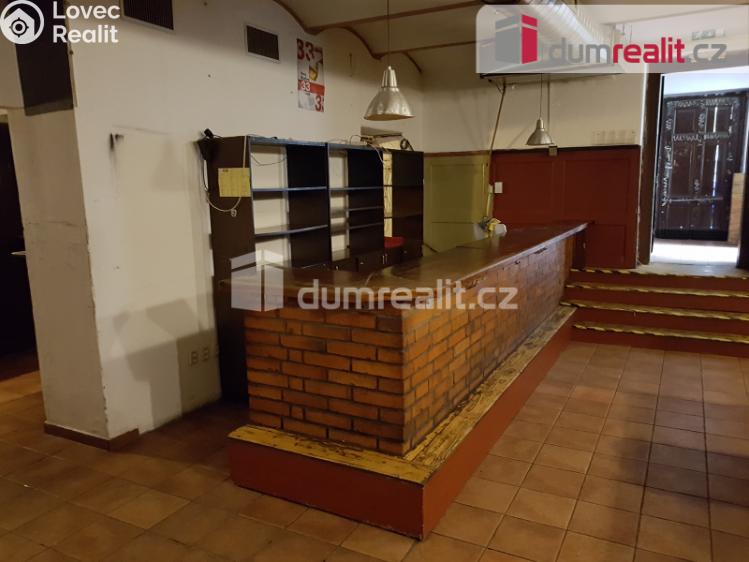 Pronájem komerční nemovitosti České Budějovice, U Tří lvů č. 10