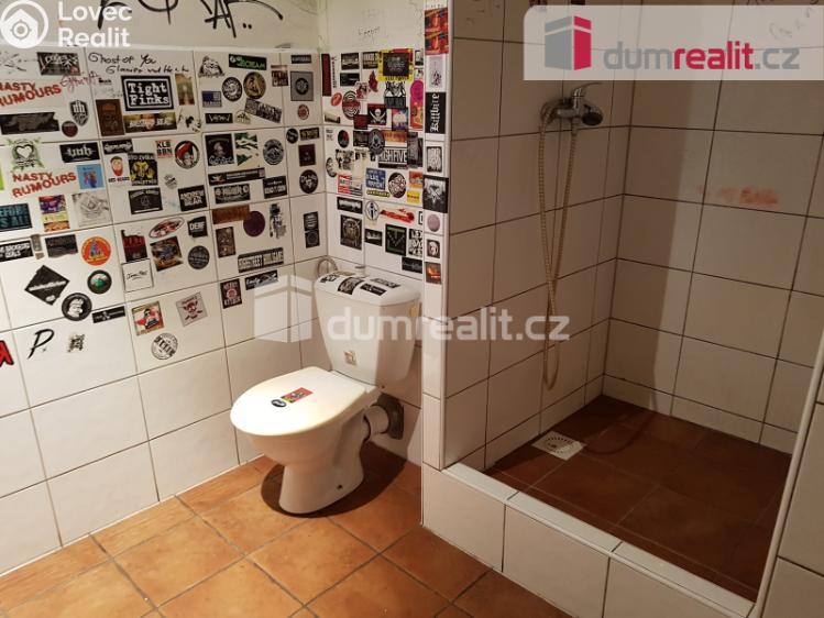 Pronájem komerční nemovitosti České Budějovice, U Tří lvů č. 12