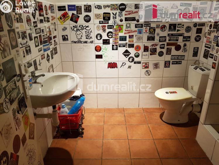 Pronájem komerční nemovitosti České Budějovice, U Tří lvů č. 13